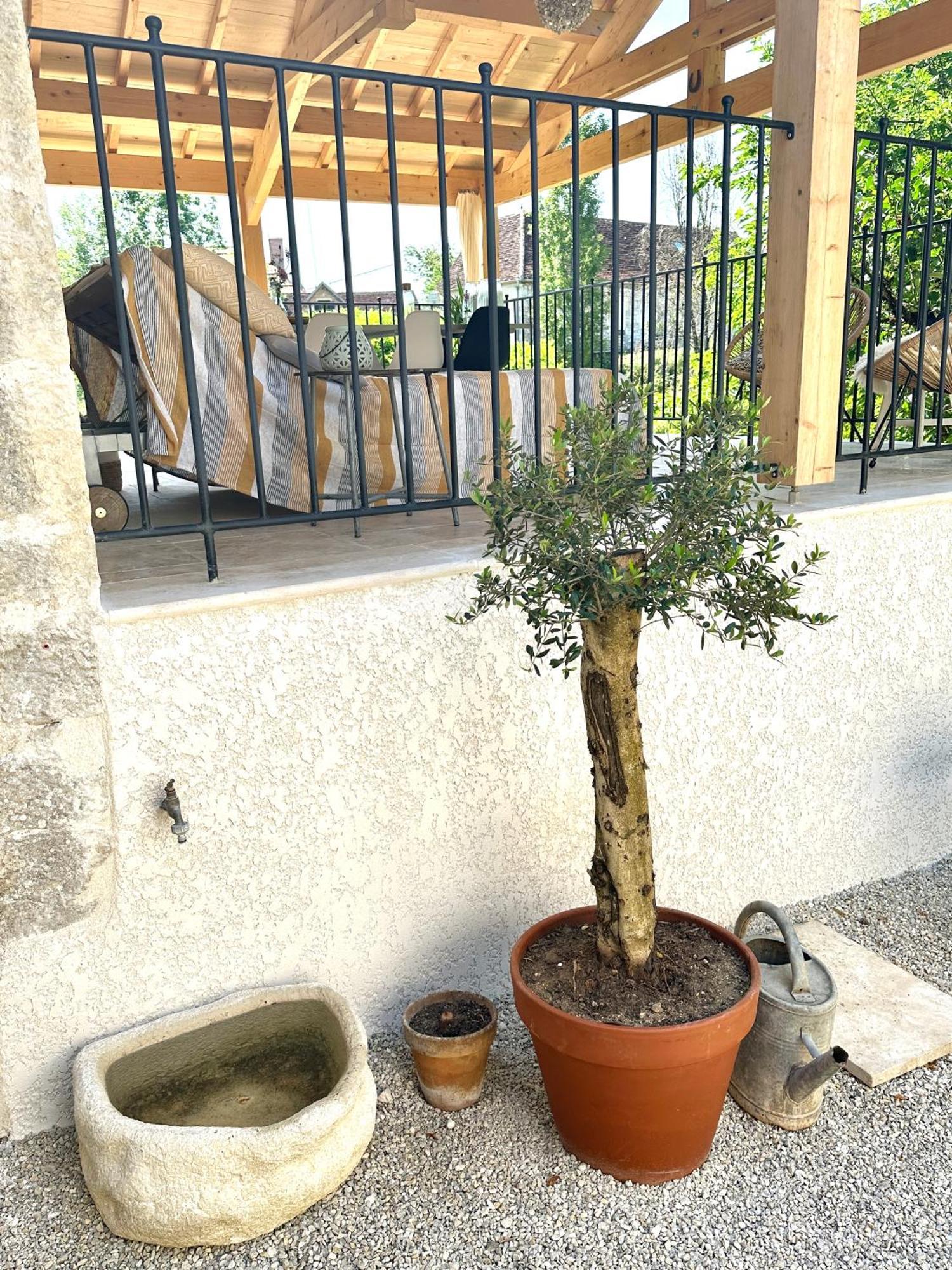 Villa Maison Fermontes Cazillac Exterior foto